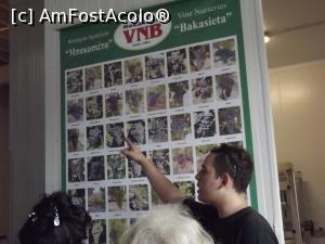 [P23] Lecţia despre soiuri de viţă-de-vie » foto by irinad
 - 
<span class="allrVoted glyphicon glyphicon-heart hidden" id="av718677"></span>
<a class="m-l-10 hidden" id="sv718677" onclick="voting_Foto_DelVot(,718677,5137)" role="button">șterge vot <span class="glyphicon glyphicon-remove"></span></a>
<a id="v9718677" class=" c-red"  onclick="voting_Foto_SetVot(718677)" role="button"><span class="glyphicon glyphicon-heart-empty"></span> <b>LIKE</b> = Votează poza</a> <img class="hidden"  id="f718677W9" src="/imagini/loader.gif" border="0" /><span class="AjErrMes hidden" id="e718677ErM"></span>