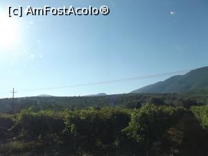 [P07] Nemea: podgorii cât vezi cu ochii » foto by irinad
 - 
<span class="allrVoted glyphicon glyphicon-heart hidden" id="av718661"></span>
<a class="m-l-10 hidden" id="sv718661" onclick="voting_Foto_DelVot(,718661,5137)" role="button">șterge vot <span class="glyphicon glyphicon-remove"></span></a>
<a id="v9718661" class=" c-red"  onclick="voting_Foto_SetVot(718661)" role="button"><span class="glyphicon glyphicon-heart-empty"></span> <b>LIKE</b> = Votează poza</a> <img class="hidden"  id="f718661W9" src="/imagini/loader.gif" border="0" /><span class="AjErrMes hidden" id="e718661ErM"></span>