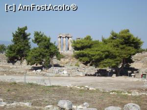 [P38] Alt supervizor ce urmăreşte totul de la umbră » foto by irinad
 - 
<span class="allrVoted glyphicon glyphicon-heart hidden" id="av725617"></span>
<a class="m-l-10 hidden" id="sv725617" onclick="voting_Foto_DelVot(,725617,5137)" role="button">șterge vot <span class="glyphicon glyphicon-remove"></span></a>
<a id="v9725617" class=" c-red"  onclick="voting_Foto_SetVot(725617)" role="button"><span class="glyphicon glyphicon-heart-empty"></span> <b>LIKE</b> = Votează poza</a> <img class="hidden"  id="f725617W9" src="/imagini/loader.gif" border="0" /><span class="AjErrMes hidden" id="e725617ErM"></span>