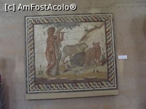 [P58] Alt mozaic din muzeu » foto by irinad
 - 
<span class="allrVoted glyphicon glyphicon-heart hidden" id="av725637"></span>
<a class="m-l-10 hidden" id="sv725637" onclick="voting_Foto_DelVot(,725637,5137)" role="button">șterge vot <span class="glyphicon glyphicon-remove"></span></a>
<a id="v9725637" class=" c-red"  onclick="voting_Foto_SetVot(725637)" role="button"><span class="glyphicon glyphicon-heart-empty"></span> <b>LIKE</b> = Votează poza</a> <img class="hidden"  id="f725637W9" src="/imagini/loader.gif" border="0" /><span class="AjErrMes hidden" id="e725637ErM"></span>