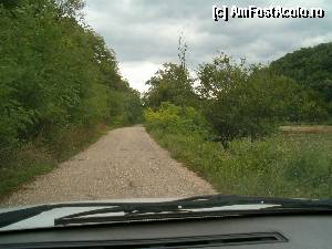 P10 [JUN-2012] Asa arata un drum judetean din zona Negotin (2006) 