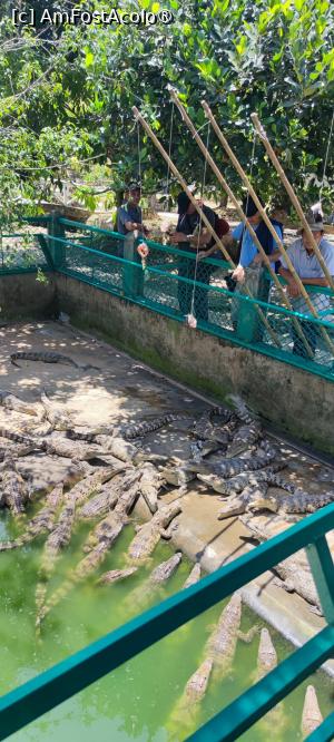 [P03] Crescatorie de aligatori » foto by luc64
 - 
<span class="allrVoted glyphicon glyphicon-heart hidden" id="av1390543"></span>
<a class="m-l-10 hidden" id="sv1390543" onclick="voting_Foto_DelVot(,1390543,5166)" role="button">șterge vot <span class="glyphicon glyphicon-remove"></span></a>
<a id="v91390543" class=" c-red"  onclick="voting_Foto_SetVot(1390543)" role="button"><span class="glyphicon glyphicon-heart-empty"></span> <b>LIKE</b> = Votează poza</a> <img class="hidden"  id="f1390543W9" src="/imagini/loader.gif" border="0" /><span class="AjErrMes hidden" id="e1390543ErM"></span>