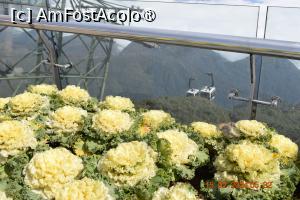 [P20] Nu știu ce flori sunt , dar arată bine. La peste 3,000 de metri ! » foto by Pușcașu Marin
 - 
<span class="allrVoted glyphicon glyphicon-heart hidden" id="av1423907"></span>
<a class="m-l-10 hidden" id="sv1423907" onclick="voting_Foto_DelVot(,1423907,5166)" role="button">șterge vot <span class="glyphicon glyphicon-remove"></span></a>
<a id="v91423907" class=" c-red"  onclick="voting_Foto_SetVot(1423907)" role="button"><span class="glyphicon glyphicon-heart-empty"></span> <b>LIKE</b> = Votează poza</a> <img class="hidden"  id="f1423907W9" src="/imagini/loader.gif" border="0" /><span class="AjErrMes hidden" id="e1423907ErM"></span>