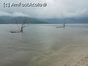 [P09] Lap An Lagoon » foto by Marius 72
 - 
<span class="allrVoted glyphicon glyphicon-heart hidden" id="av1357700"></span>
<a class="m-l-10 hidden" id="sv1357700" onclick="voting_Foto_DelVot(,1357700,5166)" role="button">șterge vot <span class="glyphicon glyphicon-remove"></span></a>
<a id="v91357700" class=" c-red"  onclick="voting_Foto_SetVot(1357700)" role="button"><span class="glyphicon glyphicon-heart-empty"></span> <b>LIKE</b> = Votează poza</a> <img class="hidden"  id="f1357700W9" src="/imagini/loader.gif" border="0" /><span class="AjErrMes hidden" id="e1357700ErM"></span>