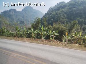 [P32] Peisaj pe marginea Asian Highway 13 » foto by Marius 72
 - 
<span class="allrVoted glyphicon glyphicon-heart hidden" id="av1358848"></span>
<a class="m-l-10 hidden" id="sv1358848" onclick="voting_Foto_DelVot(,1358848,5166)" role="button">șterge vot <span class="glyphicon glyphicon-remove"></span></a>
<a id="v91358848" class=" c-red"  onclick="voting_Foto_SetVot(1358848)" role="button"><span class="glyphicon glyphicon-heart-empty"></span> <b>LIKE</b> = Votează poza</a> <img class="hidden"  id="f1358848W9" src="/imagini/loader.gif" border="0" /><span class="AjErrMes hidden" id="e1358848ErM"></span>