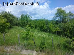 [P16] Argeș-i plin de verdeață și de bucurie. » foto by Mioritik
 - 
<span class="allrVoted glyphicon glyphicon-heart hidden" id="av1254073"></span>
<a class="m-l-10 hidden" id="sv1254073" onclick="voting_Foto_DelVot(,1254073,5176)" role="button">șterge vot <span class="glyphicon glyphicon-remove"></span></a>
<a id="v91254073" class=" c-red"  onclick="voting_Foto_SetVot(1254073)" role="button"><span class="glyphicon glyphicon-heart-empty"></span> <b>LIKE</b> = Votează poza</a> <img class="hidden"  id="f1254073W9" src="/imagini/loader.gif" border="0" /><span class="AjErrMes hidden" id="e1254073ErM"></span>