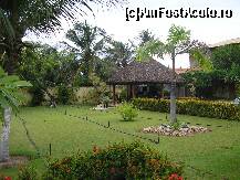 [P03] in curtea casei de vacanta a fratelui meu » foto by grecudoina
 - 
<span class="allrVoted glyphicon glyphicon-heart hidden" id="av292139"></span>
<a class="m-l-10 hidden" id="sv292139" onclick="voting_Foto_DelVot(,292139,5180)" role="button">șterge vot <span class="glyphicon glyphicon-remove"></span></a>
<a id="v9292139" class=" c-red"  onclick="voting_Foto_SetVot(292139)" role="button"><span class="glyphicon glyphicon-heart-empty"></span> <b>LIKE</b> = Votează poza</a> <img class="hidden"  id="f292139W9" src="/imagini/loader.gif" border="0" /><span class="AjErrMes hidden" id="e292139ErM"></span>