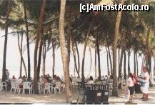 [P11] restaurantul din interiorul parcului,baietii cu palaria cu creasta preluau comanda de la chelnarite si fugeau cu ea la bucatarie,de obicei comenzile erau inghetate asa trebuiau sa ajunga comenzile in cel mai scurt timp,asa ca asistai la o cursa permanenta a acestora » foto by grecudoina
 - 
<span class="allrVoted glyphicon glyphicon-heart hidden" id="av296192"></span>
<a class="m-l-10 hidden" id="sv296192" onclick="voting_Foto_DelVot(,296192,5180)" role="button">șterge vot <span class="glyphicon glyphicon-remove"></span></a>
<a id="v9296192" class=" c-red"  onclick="voting_Foto_SetVot(296192)" role="button"><span class="glyphicon glyphicon-heart-empty"></span> <b>LIKE</b> = Votează poza</a> <img class="hidden"  id="f296192W9" src="/imagini/loader.gif" border="0" /><span class="AjErrMes hidden" id="e296192ErM"></span>