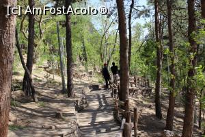 [P52] Teheran, Parcul Taleghani, Alei de legătură cu podul Tabiat dar și cu alte obiective » foto by mprofeanu
 - 
<span class="allrVoted glyphicon glyphicon-heart hidden" id="av1025303"></span>
<a class="m-l-10 hidden" id="sv1025303" onclick="voting_Foto_DelVot(,1025303,5198)" role="button">șterge vot <span class="glyphicon glyphicon-remove"></span></a>
<a id="v91025303" class=" c-red"  onclick="voting_Foto_SetVot(1025303)" role="button"><span class="glyphicon glyphicon-heart-empty"></span> <b>LIKE</b> = Votează poza</a> <img class="hidden"  id="f1025303W9" src="/imagini/loader.gif" border="0" /><span class="AjErrMes hidden" id="e1025303ErM"></span>