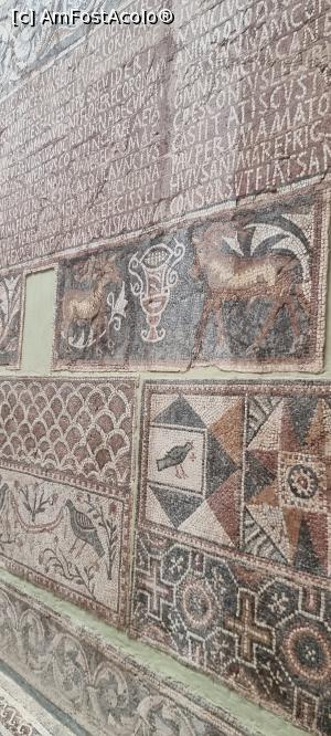[P23] sit-ul roman de la Djemila » foto by robert
 - 
<span class="allrVoted glyphicon glyphicon-heart hidden" id="av1370686"></span>
<a class="m-l-10 hidden" id="sv1370686" onclick="voting_Foto_DelVot(,1370686,5207)" role="button">șterge vot <span class="glyphicon glyphicon-remove"></span></a>
<a id="v91370686" class=" c-red"  onclick="voting_Foto_SetVot(1370686)" role="button"><span class="glyphicon glyphicon-heart-empty"></span> <b>LIKE</b> = Votează poza</a> <img class="hidden"  id="f1370686W9" src="/imagini/loader.gif" border="0" /><span class="AjErrMes hidden" id="e1370686ErM"></span>