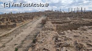 [P11] Situl roman Timgad » foto by robert
 - 
<span class="allrVoted glyphicon glyphicon-heart hidden" id="av1384576"></span>
<a class="m-l-10 hidden" id="sv1384576" onclick="voting_Foto_DelVot(,1384576,5207)" role="button">șterge vot <span class="glyphicon glyphicon-remove"></span></a>
<a id="v91384576" class=" c-red"  onclick="voting_Foto_SetVot(1384576)" role="button"><span class="glyphicon glyphicon-heart-empty"></span> <b>LIKE</b> = Votează poza</a> <img class="hidden"  id="f1384576W9" src="/imagini/loader.gif" border="0" /><span class="AjErrMes hidden" id="e1384576ErM"></span>