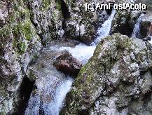 [P12] zona 'saritorilor' de pe valea Ponicovei. suntem in imediata apropiere a 'podului natural' sau cel mai dificil punct al traseului. Din pacate multi turisti i-am vazut intorcandu-se din acest punct. » foto by cc_iordachescu
 - 
<span class="allrVoted glyphicon glyphicon-heart hidden" id="av58121"></span>
<a class="m-l-10 hidden" id="sv58121" onclick="voting_Foto_DelVot(,58121,5212)" role="button">șterge vot <span class="glyphicon glyphicon-remove"></span></a>
<a id="v958121" class=" c-red"  onclick="voting_Foto_SetVot(58121)" role="button"><span class="glyphicon glyphicon-heart-empty"></span> <b>LIKE</b> = Votează poza</a> <img class="hidden"  id="f58121W9" src="/imagini/loader.gif" border="0" /><span class="AjErrMes hidden" id="e58121ErM"></span>