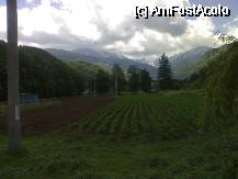 [P05] Platatiile calugarilor, frumos aranjate si intretinute... Verdeata peste tot... O verdeata cruda de inceput de vara... Mai degraba de primavara timpurie la munte... » foto by Daniel35
 - 
<span class="allrVoted glyphicon glyphicon-heart hidden" id="av58464"></span>
<a class="m-l-10 hidden" id="sv58464" onclick="voting_Foto_DelVot(,58464,5217)" role="button">șterge vot <span class="glyphicon glyphicon-remove"></span></a>
<a id="v958464" class=" c-red"  onclick="voting_Foto_SetVot(58464)" role="button"><span class="glyphicon glyphicon-heart-empty"></span> <b>LIKE</b> = Votează poza</a> <img class="hidden"  id="f58464W9" src="/imagini/loader.gif" border="0" /><span class="AjErrMes hidden" id="e58464ErM"></span>