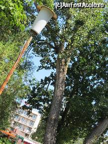 [P12] Lampă tronconică relictă. Totuşi, noaptea nu am regăsit-o aprinsă (spre deosebire de cele din Olimp). Dar Omul Mării cum să nu fotografieze unul din elementele concrete ale fostelor puternice contemplări? ...  » foto by Neptunus
 - 
<span class="allrVoted glyphicon glyphicon-heart hidden" id="av483227"></span>
<a class="m-l-10 hidden" id="sv483227" onclick="voting_Foto_DelVot(,483227,5218)" role="button">șterge vot <span class="glyphicon glyphicon-remove"></span></a>
<a id="v9483227" class=" c-red"  onclick="voting_Foto_SetVot(483227)" role="button"><span class="glyphicon glyphicon-heart-empty"></span> <b>LIKE</b> = Votează poza</a> <img class="hidden"  id="f483227W9" src="/imagini/loader.gif" border="0" /><span class="AjErrMes hidden" id="e483227ErM"></span>