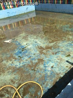 [P43] Piscina de la tobogan » foto by krisstinna
 - 
<span class="allrVoted glyphicon glyphicon-heart hidden" id="av1167276"></span>
<a class="m-l-10 hidden" id="sv1167276" onclick="voting_Foto_DelVot(,1167276,5218)" role="button">șterge vot <span class="glyphicon glyphicon-remove"></span></a>
<a id="v91167276" class=" c-red"  onclick="voting_Foto_SetVot(1167276)" role="button"><span class="glyphicon glyphicon-heart-empty"></span> <b>LIKE</b> = Votează poza</a> <img class="hidden"  id="f1167276W9" src="/imagini/loader.gif" border="0" /><span class="AjErrMes hidden" id="e1167276ErM"></span>