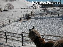 [P16] ... Iata si strutii... Rabdarea v-a fost rasplatita cu niste struti superbi... La restaurantul din zona se putea manca papara (omleta) din oua de strut... Sau mai bine zis din ou de strutz... » foto by Daniel35
 - 
<span class="allrVoted glyphicon glyphicon-heart hidden" id="av58614"></span>
<a class="m-l-10 hidden" id="sv58614" onclick="voting_Foto_DelVot(,58614,5225)" role="button">șterge vot <span class="glyphicon glyphicon-remove"></span></a>
<a id="v958614" class=" c-red"  onclick="voting_Foto_SetVot(58614)" role="button"><span class="glyphicon glyphicon-heart-empty"></span> <b>LIKE</b> = Votează poza</a> <img class="hidden"  id="f58614W9" src="/imagini/loader.gif" border="0" /><span class="AjErrMes hidden" id="e58614ErM"></span>