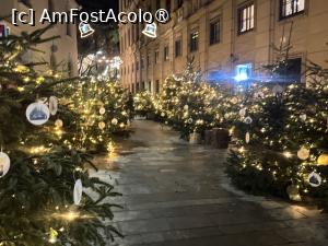 [P62] De Crăciun prin centrul vechi » foto by Mika
 - 
<span class="allrVoted glyphicon glyphicon-heart hidden" id="av1520697"></span>
<a class="m-l-10 hidden" id="sv1520697" onclick="voting_Foto_DelVot(,1520697,5228)" role="button">șterge vot <span class="glyphicon glyphicon-remove"></span></a>
<a id="v91520697" class=" c-red"  onclick="voting_Foto_SetVot(1520697)" role="button"><span class="glyphicon glyphicon-heart-empty"></span> <b>LIKE</b> = Votează poza</a> <img class="hidden"  id="f1520697W9" src="/imagini/loader.gif" border="0" /><span class="AjErrMes hidden" id="e1520697ErM"></span>