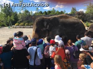 [P15] African Lion Safari - atingand elefantii...  » foto by MirelaV
 - 
<span class="allrVoted glyphicon glyphicon-heart hidden" id="av808626"></span>
<a class="m-l-10 hidden" id="sv808626" onclick="voting_Foto_DelVot(,808626,5244)" role="button">șterge vot <span class="glyphicon glyphicon-remove"></span></a>
<a id="v9808626" class=" c-red"  onclick="voting_Foto_SetVot(808626)" role="button"><span class="glyphicon glyphicon-heart-empty"></span> <b>LIKE</b> = Votează poza</a> <img class="hidden"  id="f808626W9" src="/imagini/loader.gif" border="0" /><span class="AjErrMes hidden" id="e808626ErM"></span>