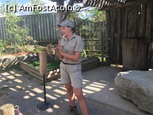 [P17] African Lion Safari - Pet's corner » foto by MirelaV
 - 
<span class="allrVoted glyphicon glyphicon-heart hidden" id="av808628"></span>
<a class="m-l-10 hidden" id="sv808628" onclick="voting_Foto_DelVot(,808628,5244)" role="button">șterge vot <span class="glyphicon glyphicon-remove"></span></a>
<a id="v9808628" class=" c-red"  onclick="voting_Foto_SetVot(808628)" role="button"><span class="glyphicon glyphicon-heart-empty"></span> <b>LIKE</b> = Votează poza</a> <img class="hidden"  id="f808628W9" src="/imagini/loader.gif" border="0" /><span class="AjErrMes hidden" id="e808628ErM"></span>