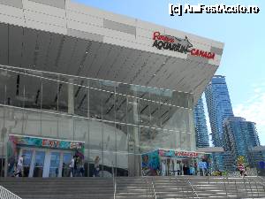 [P27] in stanga pozei, dar nu a mai intrat in cadru, ar fi CN tower » foto by alle4295
 - 
<span class="allrVoted glyphicon glyphicon-heart hidden" id="av684979"></span>
<a class="m-l-10 hidden" id="sv684979" onclick="voting_Foto_DelVot(,684979,5244)" role="button">șterge vot <span class="glyphicon glyphicon-remove"></span></a>
<a id="v9684979" class=" c-red"  onclick="voting_Foto_SetVot(684979)" role="button"><span class="glyphicon glyphicon-heart-empty"></span> <b>LIKE</b> = Votează poza</a> <img class="hidden"  id="f684979W9" src="/imagini/loader.gif" border="0" /><span class="AjErrMes hidden" id="e684979ErM"></span>