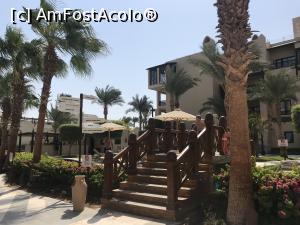 [P15x] Steigenberger Aqua Magic - prin resort » foto by nicole33
 - 
<span class="allrVoted glyphicon glyphicon-heart hidden" id="av1344981"></span>
<a class="m-l-10 hidden" id="sv1344981" onclick="voting_Foto_DelVot(,1344981,5248)" role="button">șterge vot <span class="glyphicon glyphicon-remove"></span></a>
<a id="v91344981" class=" c-red"  onclick="voting_Foto_SetVot(1344981)" role="button"><span class="glyphicon glyphicon-heart-empty"></span> <b>LIKE</b> = Votează poza</a> <img class="hidden"  id="f1344981W9" src="/imagini/loader.gif" border="0" /><span class="AjErrMes hidden" id="e1344981ErM"></span>