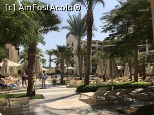 [P42x] Steigenberger Aqua Magic - prin resort » foto by nicole33
 - 
<span class="allrVoted glyphicon glyphicon-heart hidden" id="av1345008"></span>
<a class="m-l-10 hidden" id="sv1345008" onclick="voting_Foto_DelVot(,1345008,5248)" role="button">șterge vot <span class="glyphicon glyphicon-remove"></span></a>
<a id="v91345008" class=" c-red"  onclick="voting_Foto_SetVot(1345008)" role="button"><span class="glyphicon glyphicon-heart-empty"></span> <b>LIKE</b> = Votează poza</a> <img class="hidden"  id="f1345008W9" src="/imagini/loader.gif" border="0" /><span class="AjErrMes hidden" id="e1345008ErM"></span>