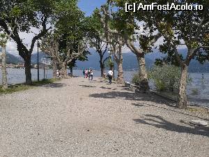 [P02] Insula Pescatori » foto by alora
 - 
<span class="allrVoted glyphicon glyphicon-heart hidden" id="av534586"></span>
<a class="m-l-10 hidden" id="sv534586" onclick="voting_Foto_DelVot(,534586,5274)" role="button">șterge vot <span class="glyphicon glyphicon-remove"></span></a>
<a id="v9534586" class=" c-red"  onclick="voting_Foto_SetVot(534586)" role="button"><span class="glyphicon glyphicon-heart-empty"></span> <b>LIKE</b> = Votează poza</a> <img class="hidden"  id="f534586W9" src="/imagini/loader.gif" border="0" /><span class="AjErrMes hidden" id="e534586ErM"></span>