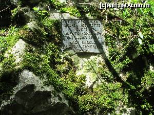 [P40]  -- <small>// FĂRĂ DESCRIERE</small> » foto by arru
 - 
<span class="allrVoted glyphicon glyphicon-heart hidden" id="av605299"></span>
<a class="m-l-10 hidden" id="sv605299" onclick="voting_Foto_DelVot(,605299,5279)" role="button">șterge vot <span class="glyphicon glyphicon-remove"></span></a>
<a id="v9605299" class=" c-red"  onclick="voting_Foto_SetVot(605299)" role="button"><span class="glyphicon glyphicon-heart-empty"></span> <b>LIKE</b> = Votează poza</a> <img class="hidden"  id="f605299W9" src="/imagini/loader.gif" border="0" /><span class="AjErrMes hidden" id="e605299ErM"></span>