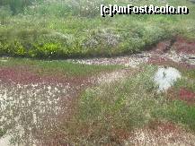 [P27] Tabloul colorat pictat de sare si natura, ma urmareste inca » foto by dorgo
 - 
<span class="allrVoted glyphicon glyphicon-heart hidden" id="av115321"></span>
<a class="m-l-10 hidden" id="sv115321" onclick="voting_Foto_DelVot(,115321,5279)" role="button">șterge vot <span class="glyphicon glyphicon-remove"></span></a>
<a id="v9115321" class=" c-red"  onclick="voting_Foto_SetVot(115321)" role="button"><span class="glyphicon glyphicon-heart-empty"></span> <b>LIKE</b> = Votează poza</a> <img class="hidden"  id="f115321W9" src="/imagini/loader.gif" border="0" /><span class="AjErrMes hidden" id="e115321ErM"></span>