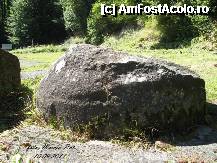 [P48] Aici este radacina noastra a dacilor. » foto by realitatea
 - 
<span class="allrVoted glyphicon glyphicon-heart hidden" id="av254953"></span>
<a class="m-l-10 hidden" id="sv254953" onclick="voting_Foto_DelVot(,254953,5311)" role="button">șterge vot <span class="glyphicon glyphicon-remove"></span></a>
<a id="v9254953" class=" c-red"  onclick="voting_Foto_SetVot(254953)" role="button"><span class="glyphicon glyphicon-heart-empty"></span> <b>LIKE</b> = Votează poza</a> <img class="hidden"  id="f254953W9" src="/imagini/loader.gif" border="0" /><span class="AjErrMes hidden" id="e254953ErM"></span>