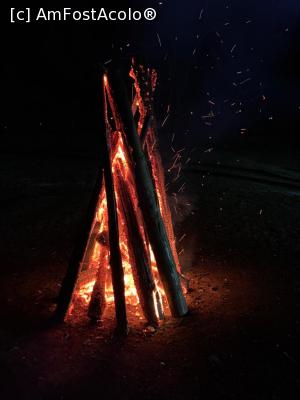 [P03]  -- <small>// FĂRĂ DESCRIERE</small> » foto by istoica*
 - 
<span class="allrVoted glyphicon glyphicon-heart hidden" id="av1137286"></span>
<a class="m-l-10 hidden" id="sv1137286" onclick="voting_Foto_DelVot(,1137286,5318)" role="button">șterge vot <span class="glyphicon glyphicon-remove"></span></a>
<a id="v91137286" class=" c-red"  onclick="voting_Foto_SetVot(1137286)" role="button"><span class="glyphicon glyphicon-heart-empty"></span> <b>LIKE</b> = Votează poza</a> <img class="hidden"  id="f1137286W9" src="/imagini/loader.gif" border="0" /><span class="AjErrMes hidden" id="e1137286ErM"></span>