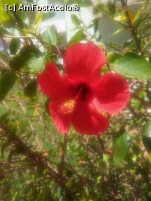[P12]  -- <small>// FĂRĂ DESCRIERE</small> » foto by paula 235
 - 
<span class="allrVoted glyphicon glyphicon-heart hidden" id="av1121697"></span>
<a class="m-l-10 hidden" id="sv1121697" onclick="voting_Foto_DelVot(,1121697,5345)" role="button">șterge vot <span class="glyphicon glyphicon-remove"></span></a>
<a id="v91121697" class=" c-red"  onclick="voting_Foto_SetVot(1121697)" role="button"><span class="glyphicon glyphicon-heart-empty"></span> <b>LIKE</b> = Votează poza</a> <img class="hidden"  id="f1121697W9" src="/imagini/loader.gif" border="0" /><span class="AjErrMes hidden" id="e1121697ErM"></span>
