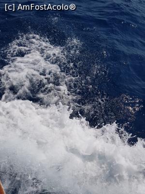 [P36] Valuri de 3 sau 4 m care ne-au speriat pe mare » foto by marival
 - 
<span class="allrVoted glyphicon glyphicon-heart hidden" id="av1087695"></span>
<a class="m-l-10 hidden" id="sv1087695" onclick="voting_Foto_DelVot(,1087695,5345)" role="button">șterge vot <span class="glyphicon glyphicon-remove"></span></a>
<a id="v91087695" class=" c-red"  onclick="voting_Foto_SetVot(1087695)" role="button"><span class="glyphicon glyphicon-heart-empty"></span> <b>LIKE</b> = Votează poza</a> <img class="hidden"  id="f1087695W9" src="/imagini/loader.gif" border="0" /><span class="AjErrMes hidden" id="e1087695ErM"></span>