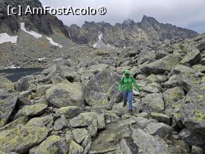 [P10]  -- <small>// FĂRĂ DESCRIERE</small> » foto by Maya_C
 - 
<span class="allrVoted glyphicon glyphicon-heart hidden" id="av1502004"></span>
<a class="m-l-10 hidden" id="sv1502004" onclick="voting_Foto_DelVot(,1502004,5383)" role="button">șterge vot <span class="glyphicon glyphicon-remove"></span></a>
<a id="v91502004" class=" c-red"  onclick="voting_Foto_SetVot(1502004)" role="button"><span class="glyphicon glyphicon-heart-empty"></span> <b>LIKE</b> = Votează poza</a> <img class="hidden"  id="f1502004W9" src="/imagini/loader.gif" border="0" /><span class="AjErrMes hidden" id="e1502004ErM"></span>