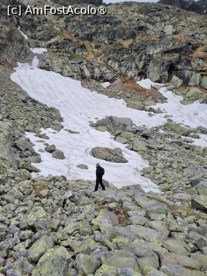 [P11]  -- <small>// FĂRĂ DESCRIERE</small> » foto by Maya_C
 - 
<span class="allrVoted glyphicon glyphicon-heart hidden" id="av1502005"></span>
<a class="m-l-10 hidden" id="sv1502005" onclick="voting_Foto_DelVot(,1502005,5383)" role="button">șterge vot <span class="glyphicon glyphicon-remove"></span></a>
<a id="v91502005" class=" c-red"  onclick="voting_Foto_SetVot(1502005)" role="button"><span class="glyphicon glyphicon-heart-empty"></span> <b>LIKE</b> = Votează poza</a> <img class="hidden"  id="f1502005W9" src="/imagini/loader.gif" border="0" /><span class="AjErrMes hidden" id="e1502005ErM"></span>