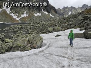 [P12]  -- <small>// FĂRĂ DESCRIERE</small> » foto by Maya_C
 - 
<span class="allrVoted glyphicon glyphicon-heart hidden" id="av1502006"></span>
<a class="m-l-10 hidden" id="sv1502006" onclick="voting_Foto_DelVot(,1502006,5383)" role="button">șterge vot <span class="glyphicon glyphicon-remove"></span></a>
<a id="v91502006" class=" c-red"  onclick="voting_Foto_SetVot(1502006)" role="button"><span class="glyphicon glyphicon-heart-empty"></span> <b>LIKE</b> = Votează poza</a> <img class="hidden"  id="f1502006W9" src="/imagini/loader.gif" border="0" /><span class="AjErrMes hidden" id="e1502006ErM"></span>