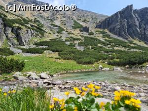 [P03]  -- <small>// FĂRĂ DESCRIERE</small> » foto by Maya_C
 - 
<span class="allrVoted glyphicon glyphicon-heart hidden" id="av1501997"></span>
<a class="m-l-10 hidden" id="sv1501997" onclick="voting_Foto_DelVot(,1501997,5383)" role="button">șterge vot <span class="glyphicon glyphicon-remove"></span></a>
<a id="v91501997" class=" c-red"  onclick="voting_Foto_SetVot(1501997)" role="button"><span class="glyphicon glyphicon-heart-empty"></span> <b>LIKE</b> = Votează poza</a> <img class="hidden"  id="f1501997W9" src="/imagini/loader.gif" border="0" /><span class="AjErrMes hidden" id="e1501997ErM"></span>