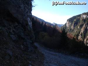[P14] drumul spre Curmătura Olteţului este mai abrupt » foto by marocanu21
 - 
<span class="allrVoted glyphicon glyphicon-heart hidden" id="av702009"></span>
<a class="m-l-10 hidden" id="sv702009" onclick="voting_Foto_DelVot(,702009,5423)" role="button">șterge vot <span class="glyphicon glyphicon-remove"></span></a>
<a id="v9702009" class=" c-red"  onclick="voting_Foto_SetVot(702009)" role="button"><span class="glyphicon glyphicon-heart-empty"></span> <b>LIKE</b> = Votează poza</a> <img class="hidden"  id="f702009W9" src="/imagini/loader.gif" border="0" /><span class="AjErrMes hidden" id="e702009ErM"></span>