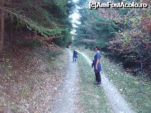 [P28] drumul prin pădure spre releu » foto by marocanu21
 - 
<span class="allrVoted glyphicon glyphicon-heart hidden" id="av702040"></span>
<a class="m-l-10 hidden" id="sv702040" onclick="voting_Foto_DelVot(,702040,5423)" role="button">șterge vot <span class="glyphicon glyphicon-remove"></span></a>
<a id="v9702040" class=" c-red"  onclick="voting_Foto_SetVot(702040)" role="button"><span class="glyphicon glyphicon-heart-empty"></span> <b>LIKE</b> = Votează poza</a> <img class="hidden"  id="f702040W9" src="/imagini/loader.gif" border="0" /><span class="AjErrMes hidden" id="e702040ErM"></span>