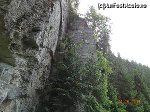 [P33] Cheile Latoritei - Spectaculoase si putin cunoscute. Si peretii inclinati si fisurati de care va ziceam.  » foto by vega06
 - 
<span class="allrVoted glyphicon glyphicon-heart hidden" id="av628586"></span>
<a class="m-l-10 hidden" id="sv628586" onclick="voting_Foto_DelVot(,628586,5423)" role="button">șterge vot <span class="glyphicon glyphicon-remove"></span></a>
<a id="v9628586" class=" c-red"  onclick="voting_Foto_SetVot(628586)" role="button"><span class="glyphicon glyphicon-heart-empty"></span> <b>LIKE</b> = Votează poza</a> <img class="hidden"  id="f628586W9" src="/imagini/loader.gif" border="0" /><span class="AjErrMes hidden" id="e628586ErM"></span>