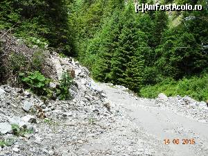 [P34] Cheile Latoritei - Spectaculoase si putin cunoscute, Si iarasi o zona unde a fost soseaua bloxata de avalansa.  » foto by vega06
 - 
<span class="allrVoted glyphicon glyphicon-heart hidden" id="av628588"></span>
<a class="m-l-10 hidden" id="sv628588" onclick="voting_Foto_DelVot(,628588,5423)" role="button">șterge vot <span class="glyphicon glyphicon-remove"></span></a>
<a id="v9628588" class=" c-red"  onclick="voting_Foto_SetVot(628588)" role="button"><span class="glyphicon glyphicon-heart-empty"></span> <b>LIKE</b> = Votează poza</a> <img class="hidden"  id="f628588W9" src="/imagini/loader.gif" border="0" /><span class="AjErrMes hidden" id="e628588ErM"></span>
