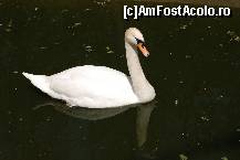 [P01]  -- <small>// FĂRĂ DESCRIERE</small> » foto by Floricatarea
 - 
<span class="allrVoted glyphicon glyphicon-heart hidden" id="av165493"></span>
<a class="m-l-10 hidden" id="sv165493" onclick="voting_Foto_DelVot(,165493,5428)" role="button">șterge vot <span class="glyphicon glyphicon-remove"></span></a>
<a id="v9165493" class=" c-red"  onclick="voting_Foto_SetVot(165493)" role="button"><span class="glyphicon glyphicon-heart-empty"></span> <b>LIKE</b> = Votează poza</a> <img class="hidden"  id="f165493W9" src="/imagini/loader.gif" border="0" /><span class="AjErrMes hidden" id="e165493ErM"></span>