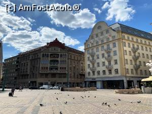 [P13] Clădiri istorice în Piața Victoriei » foto by AZE
 - 
<span class="allrVoted glyphicon glyphicon-heart hidden" id="av1315586"></span>
<a class="m-l-10 hidden" id="sv1315586" onclick="voting_Foto_DelVot(,1315586,5428)" role="button">șterge vot <span class="glyphicon glyphicon-remove"></span></a>
<a id="v91315586" class=" c-red"  onclick="voting_Foto_SetVot(1315586)" role="button"><span class="glyphicon glyphicon-heart-empty"></span> <b>LIKE</b> = Votează poza</a> <img class="hidden"  id="f1315586W9" src="/imagini/loader.gif" border="0" /><span class="AjErrMes hidden" id="e1315586ErM"></span>