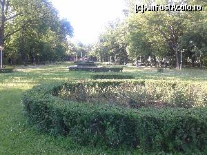 [P25] Verdeata » foto by mugur007
 - 
<span class="allrVoted glyphicon glyphicon-heart hidden" id="av629508"></span>
<a class="m-l-10 hidden" id="sv629508" onclick="voting_Foto_DelVot(,629508,5428)" role="button">șterge vot <span class="glyphicon glyphicon-remove"></span></a>
<a id="v9629508" class=" c-red"  onclick="voting_Foto_SetVot(629508)" role="button"><span class="glyphicon glyphicon-heart-empty"></span> <b>LIKE</b> = Votează poza</a> <img class="hidden"  id="f629508W9" src="/imagini/loader.gif" border="0" /><span class="AjErrMes hidden" id="e629508ErM"></span>