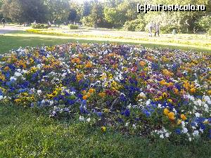 [P37] Mare de flori » foto by mugur007
 - 
<span class="allrVoted glyphicon glyphicon-heart hidden" id="av629520"></span>
<a class="m-l-10 hidden" id="sv629520" onclick="voting_Foto_DelVot(,629520,5428)" role="button">șterge vot <span class="glyphicon glyphicon-remove"></span></a>
<a id="v9629520" class=" c-red"  onclick="voting_Foto_SetVot(629520)" role="button"><span class="glyphicon glyphicon-heart-empty"></span> <b>LIKE</b> = Votează poza</a> <img class="hidden"  id="f629520W9" src="/imagini/loader.gif" border="0" /><span class="AjErrMes hidden" id="e629520ErM"></span>