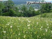 P12 [JUN-2009] În mijlocul naturii! În depărtare se vede satul Pietroiu şi albia râului Râmnicu Sărat!