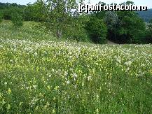 P16 [JUN-2009] Frumuseţea naturii domină întreaga zonă!