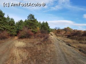 [P10] Poteca din dreapta este drumul corect către chilia lui Ambrozie și către releele de pe vârful Istrița.  » foto by Floryn81
 - 
<span class="allrVoted glyphicon glyphicon-heart hidden" id="av1049300"></span>
<a class="m-l-10 hidden" id="sv1049300" onclick="voting_Foto_DelVot(,1049300,5439)" role="button">șterge vot <span class="glyphicon glyphicon-remove"></span></a>
<a id="v91049300" class=" c-red"  onclick="voting_Foto_SetVot(1049300)" role="button"><span class="glyphicon glyphicon-heart-empty"></span> <b>LIKE</b> = Votează poza</a> <img class="hidden"  id="f1049300W9" src="/imagini/loader.gif" border="0" /><span class="AjErrMes hidden" id="e1049300ErM"></span>