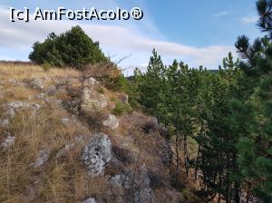 [P16] Ne aflam deasupra Stâncii Șoimilor. Chilia lui Ambrozie se afla undeva dedesubtul nostru. Noi am continuat plimbarea către releele de pe vârful Istrița.  » foto by Floryn81
 - 
<span class="allrVoted glyphicon glyphicon-heart hidden" id="av1049306"></span>
<a class="m-l-10 hidden" id="sv1049306" onclick="voting_Foto_DelVot(,1049306,5439)" role="button">șterge vot <span class="glyphicon glyphicon-remove"></span></a>
<a id="v91049306" class=" c-red"  onclick="voting_Foto_SetVot(1049306)" role="button"><span class="glyphicon glyphicon-heart-empty"></span> <b>LIKE</b> = Votează poza</a> <img class="hidden"  id="f1049306W9" src="/imagini/loader.gif" border="0" /><span class="AjErrMes hidden" id="e1049306ErM"></span>