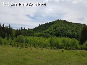 [P11] Lacul Negru s-a aflat în această zonă, dar acum este colmatat complet. » foto by Floryn81
 - 
<span class="allrVoted glyphicon glyphicon-heart hidden" id="av1169610"></span>
<a class="m-l-10 hidden" id="sv1169610" onclick="voting_Foto_DelVot(,1169610,5439)" role="button">șterge vot <span class="glyphicon glyphicon-remove"></span></a>
<a id="v91169610" class=" c-red"  onclick="voting_Foto_SetVot(1169610)" role="button"><span class="glyphicon glyphicon-heart-empty"></span> <b>LIKE</b> = Votează poza</a> <img class="hidden"  id="f1169610W9" src="/imagini/loader.gif" border="0" /><span class="AjErrMes hidden" id="e1169610ErM"></span>